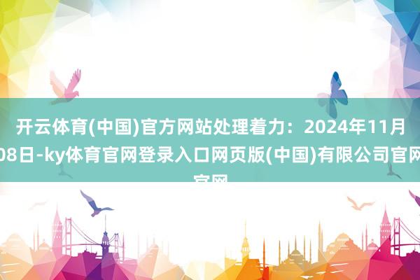 开云体育(中国)官方网站处理着力:2024年11月08日-ky体育官网登录入口网页版(中国)有限公司官网